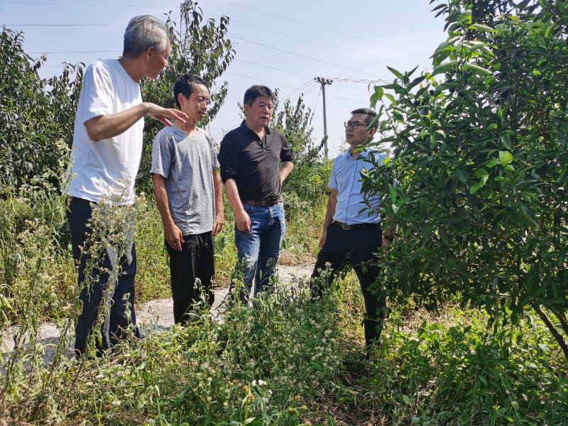 erJF_1658720908915021759.png erJF_1658720908915021759.png