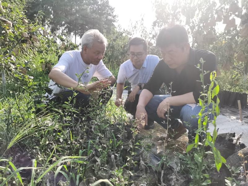 fWwa_1658740734667067416.png fWwa_1658740734667067416.png